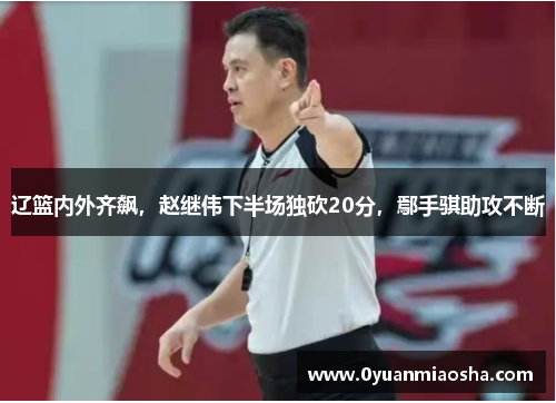 辽篮内外齐飙，赵继伟下半场独砍20分，鄢手骐助攻不断